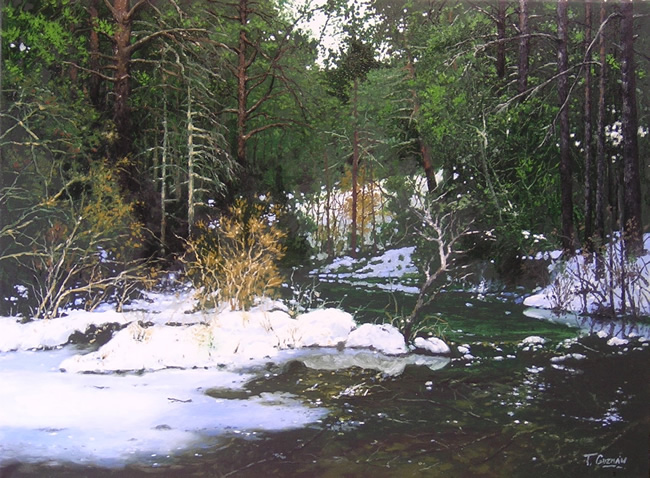 pintura de paisaje por Tomas Guzman